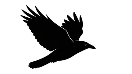 Obraz premium Black silhouette of a bird in flight with wings spread wide on white background