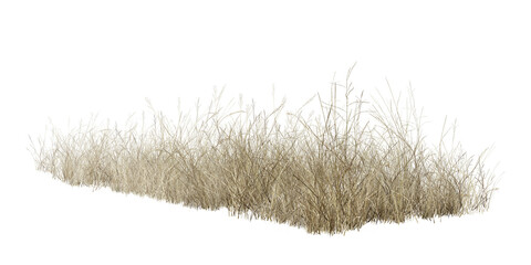 grass isolated on white/strip of dry wild grass isolated on a white background, showing natural texture and earthy tones, ideal for nature, landscape, and environmental design concepts.