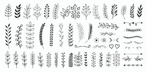 Christmas dividers set. Hand drawn ornamental winter holiday text decor border, Xmas floral underline, ornamental wedding card doodle separator with fir and holly branches. Vector isolated set