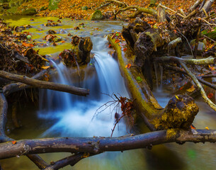 waterfall on the river flow through mountain canyon covered by red dry leaves, autumn mountain river scene
