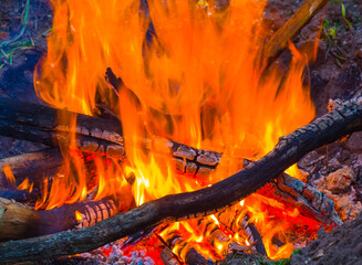 closeup camp fire on the forest glade © Yuriy Kulik