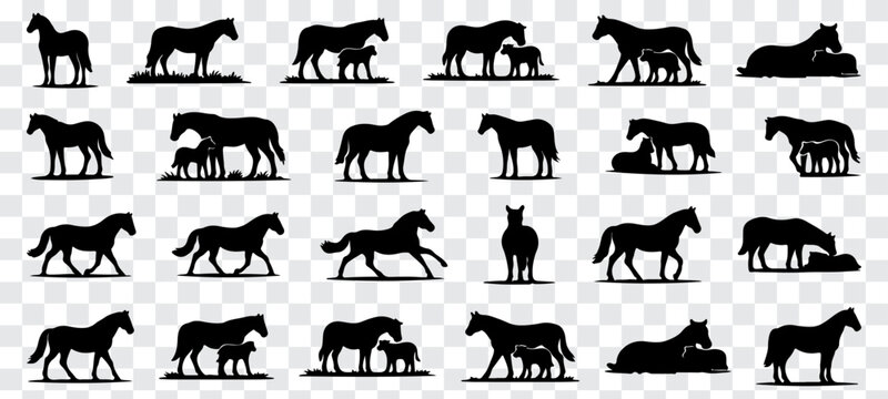Minimalist vector illustration featuring a large collection of black horse silhouettes in diverse poses, including standing, walking, resting, and mare-with-foal scenes. Clean solid shapes with smooth