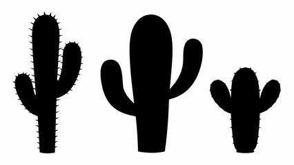 Three distinct saguaro cactus silhouettes with visible spikes stand upright on a white background. © Sidra