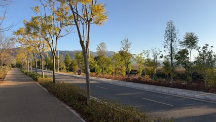 Fototapeta premium Autumn Road With Trees And Long Shadows In Park