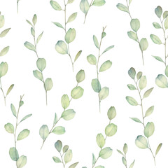 Watercolor seamless pattern with eucalyptus branches . Hand drawn illustration on white background