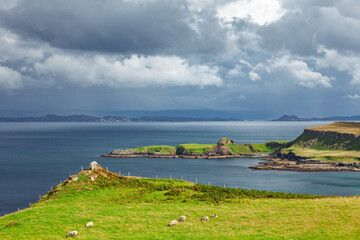 Sheep grazing on coastal cliffs overlooking sea Isle of Skye Scotland