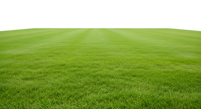 Freshly mown green lawn patch isolated element for compositing isolated on transparent background - Powered by Adobe