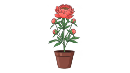 Vertical Botanical Illustration of a Single Red Peony Stem with Multiple Buds Growing in a Ceramic Pot, Decorative Plant Art Isolated on White