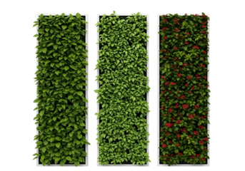  different types of green leafy plant panels isolated on transparent background