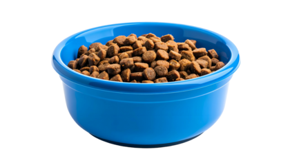 A blue bowl filled with brown, dry, circular pet food. Isolated on black