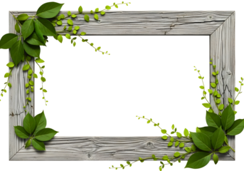 Wooden picture frame decorated with green leaves and vines isolated on transparent background