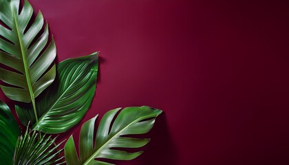lush green tropical foliage against a deep burgundy background ideal for botanical designs and nature inspired projects