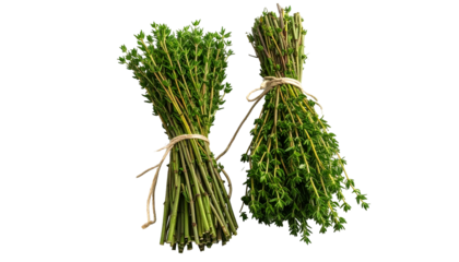 Two bundles of fresh green herbs, tied with twine, on a transparent background