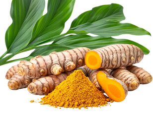 Fresh turmeric roots powder and leaves on transparent background.