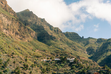 Fototapeta premium Goat near to pictoresque Masca village and Masca valley during beautiful. Tenerife village