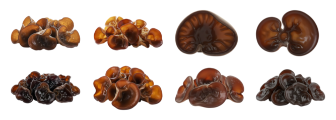 Variety of fresh brown wood ear mushrooms arranged on a clean white background, showcasing natural textures and shapes