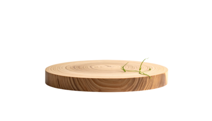 A circular cross-section of a tree trunk, showcasing natural wood grain, with a delicate green vine-like plant growing on top, set against a black backdrop