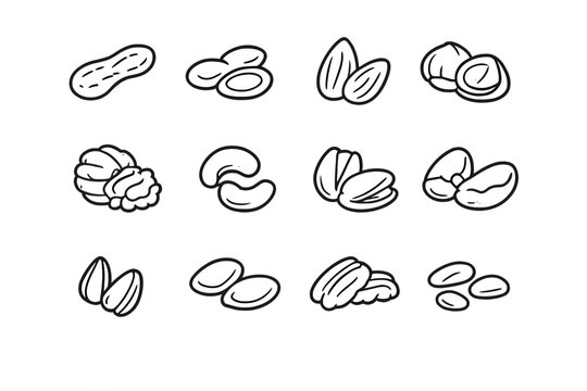 Collection of hand-drawn nuts on a gray background