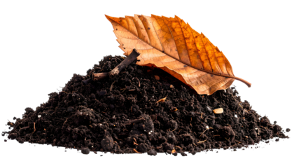 A pile of dark earth, topped with a dry, brown leaf and small twig