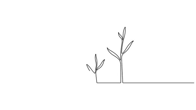 Self animated illustrates the process of seed germination and subsequent plant growth through a continuous line drawing