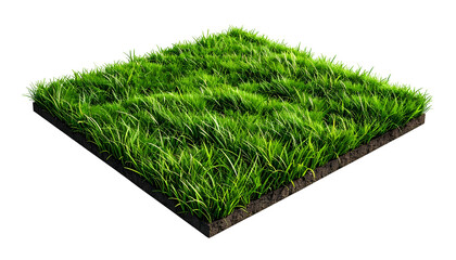 Isolated square of vibrant green grass, showing soil and texture against a black background