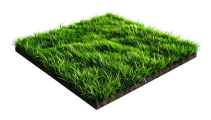 Isolated square of vibrant green grass, showing soil and texture against a black background