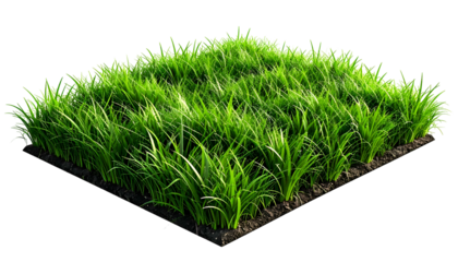 Square patch of vibrant green grass isolated on black, with visible dirt edges