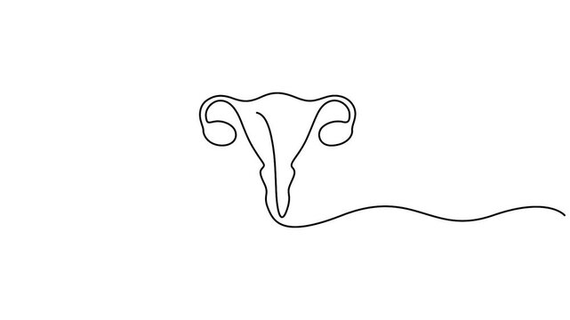 Self animated minimalist continuous one line art illustration of a uterus, also known as the womb.