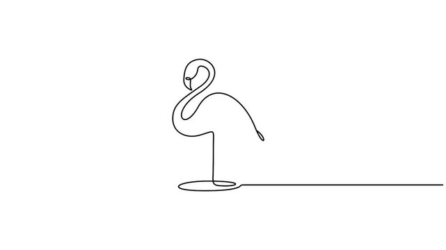 Self animated minimalist continuous line art drawing of a flamingo. Full length single line art animation