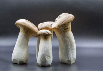 Fresh eringi oyster mushrooms on dark gray surface closeup.