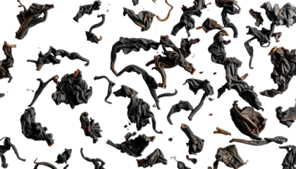 Overhead view of a scattering of dark, dried, curled leaves against a black backdrop
