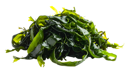 Pile of fresh, dark green seaweed, glossy with moisture, against a black background