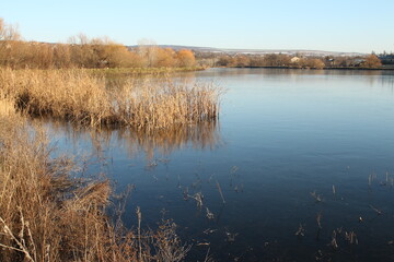 A river with a few birds in it