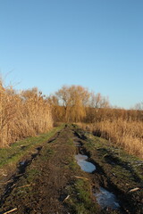A stream running through a field