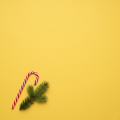candy cane and one pine branch arranged at the bottom