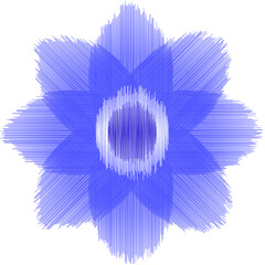 blue and white flower