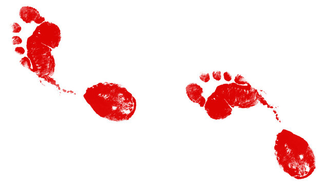Red bloody footprints trail isolated on transparent background. Horror crime scene footprint marks, blood splatter footprint texture, scary concept design element