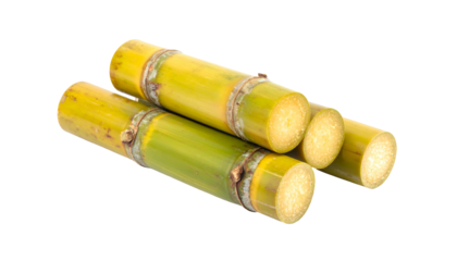 Close-up of cut sugarcane stalks, showing the natural textures and colors. The stalks are golden and green, a tropical agricultural product