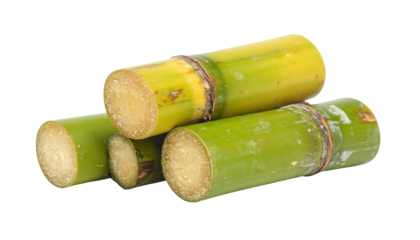 Close-up of cut sugarcane stalks, showing their fibrous interior and green-yellow exterior, piled against a black background