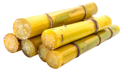 Close-up of cut sugarcane stalks, showing their yellow-green color and fibrous texture, stacked with end-cuts visible