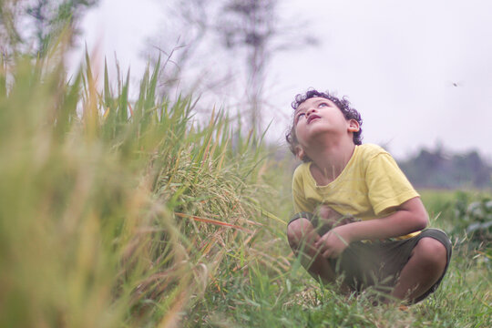 Curious young child crouching in grass and looking upward outdoors. Concept of imagination, childhood wonder, learning, mindfulness, outdoor education, and connection with nature