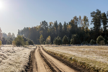 Fototapeta premium Sandy country road leading through a field covered in morning frost with a dense forest in the background under a clear sky.