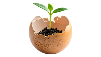 A tiny green seedling grows from within a cracked eggshell, isolated on black