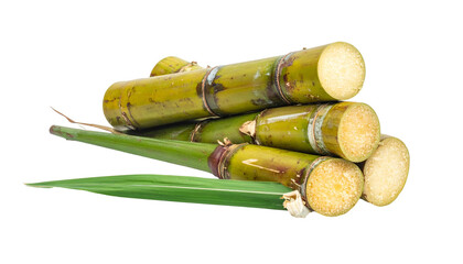 Stacked and cut stalks of a plant with green and yellow tones, a leaf is present