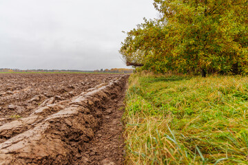 Plowed Agricultural Field in Late Autumn