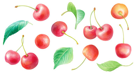 水彩のさくらんぼと葉のイラストセット。装飾素材
