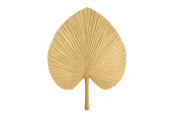 Dried palm leaf decoration for bohemian tropical themes