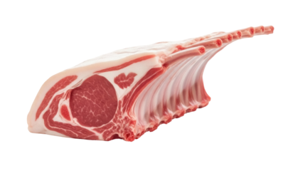 Isolated rack of lamb on a plain backdrop, culinary ingredient for fine dining recipe