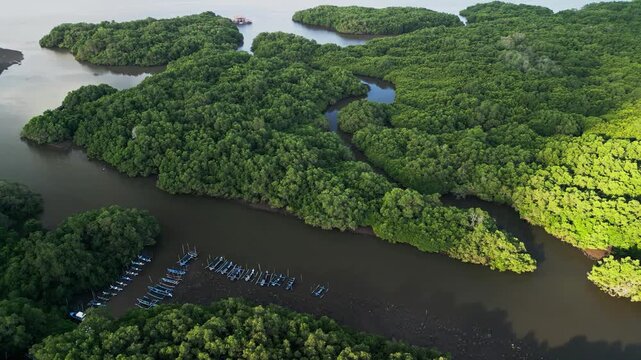 Aerial view of a green river winding through the Sundarban mangrove landscape with trees, reflections on water, and summer natureery