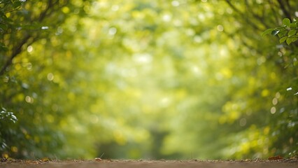 Minimal Warm Green Garden Background with Soft Natural Blur